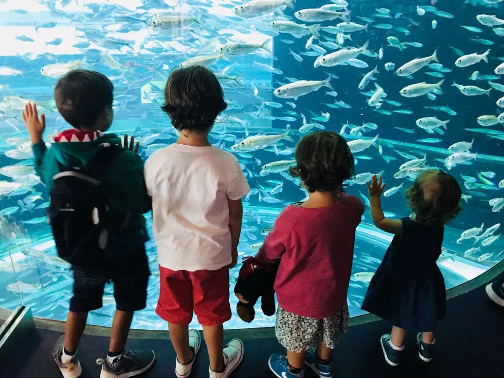 Canada e Stati Uniti con bambini- Toronto Ripleys Aquarium