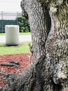 Campo estivo per bambini a Miami